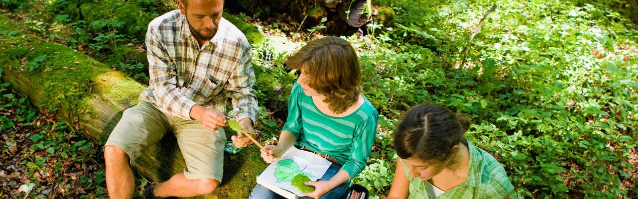 Nature Journaling with Expert John Muir Laws